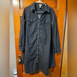 Isabel Maternity by Ingrid & Isabel Long Sleeve Denim Dress